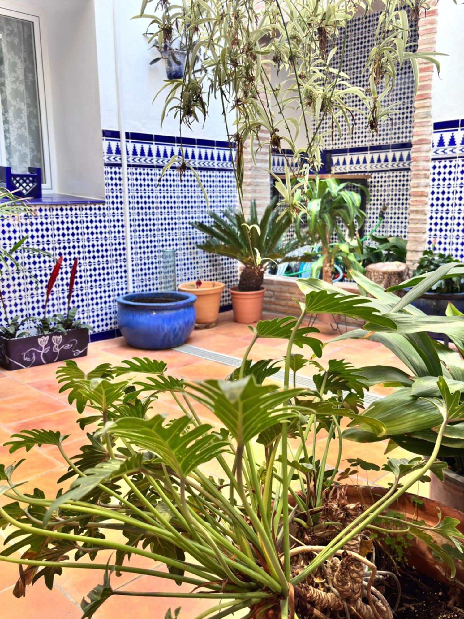 Shanti'S Andalusian Rooms 马拉加 外观 照片